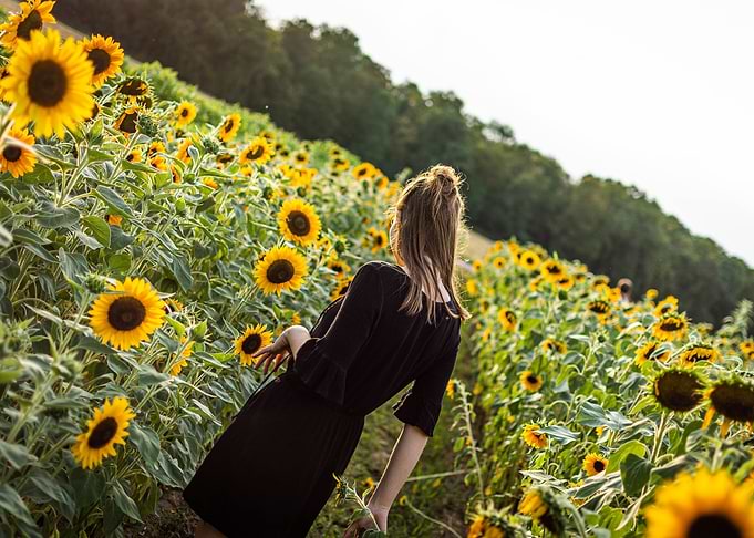 Girl in a sunflowerfield