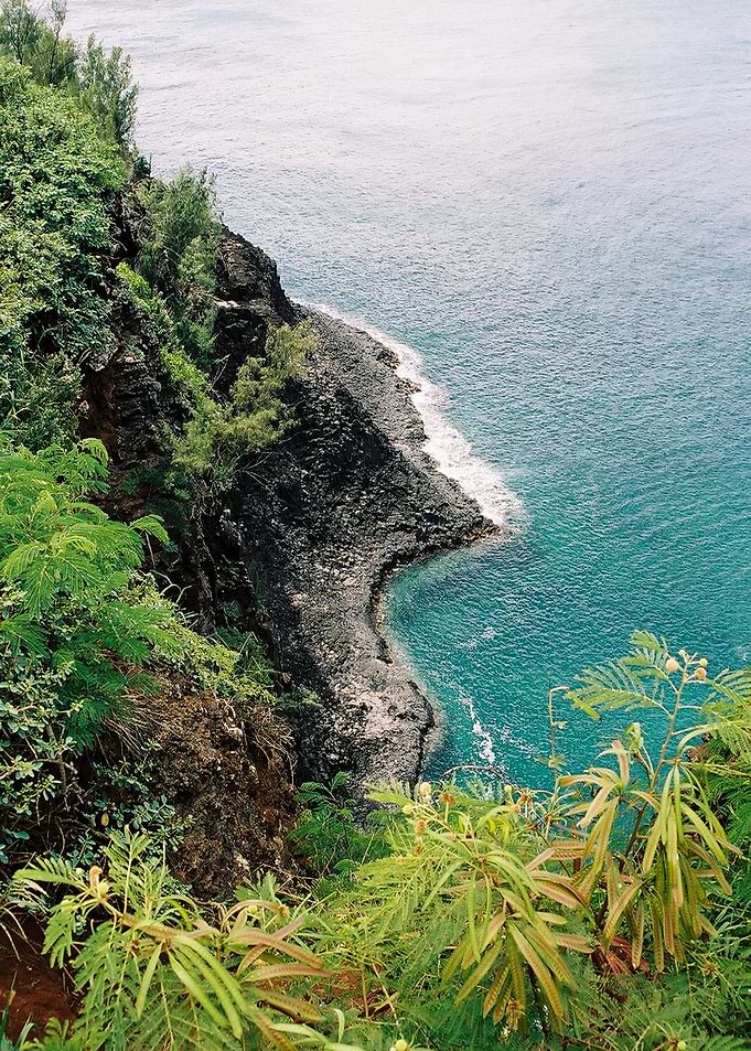 Paradise Island