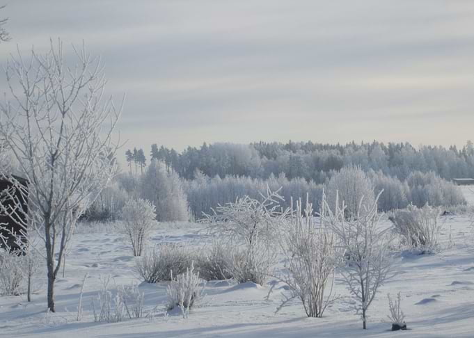 Winter paradise