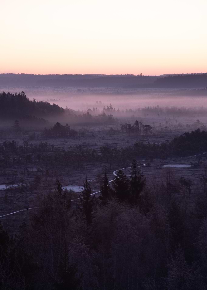 Morning mist