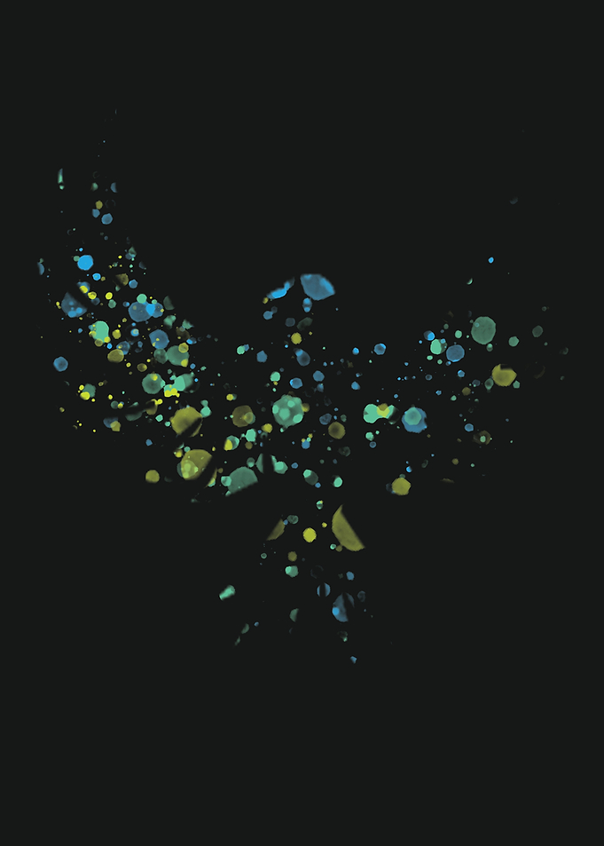 colorful bird
