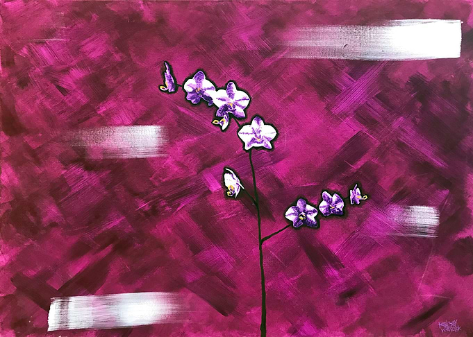 Orchid
