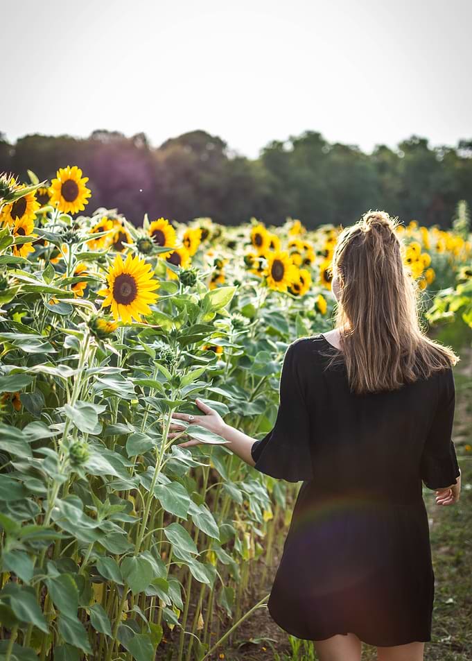 Girl in a sunflowerfield