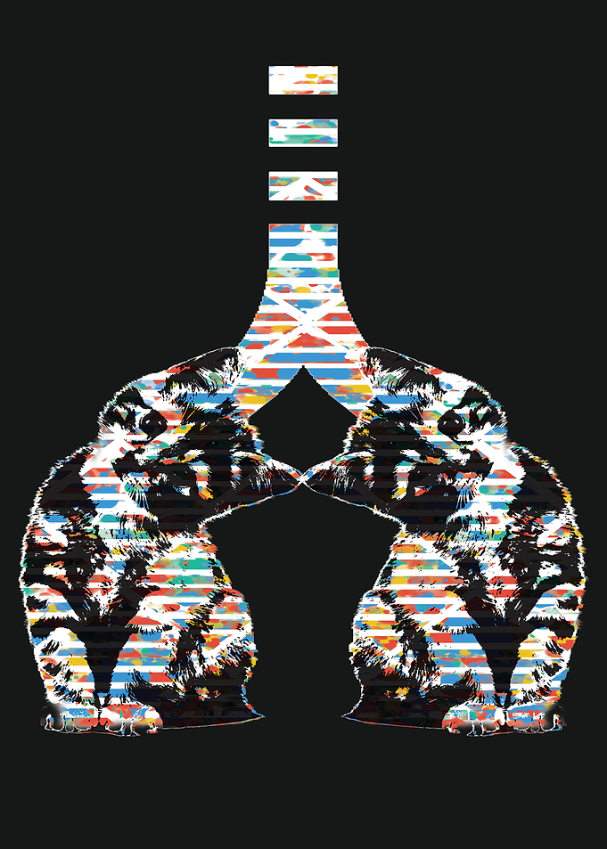 colorful cats lung shape