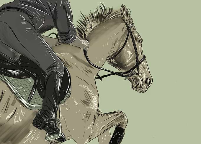 Horse Jumping