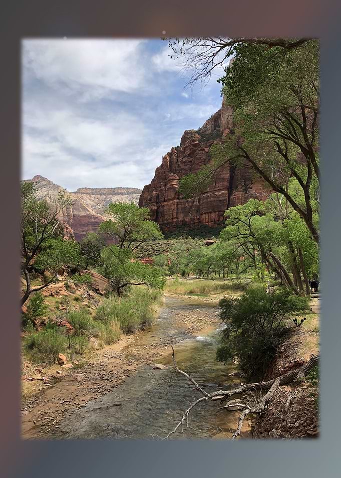 Zion 7