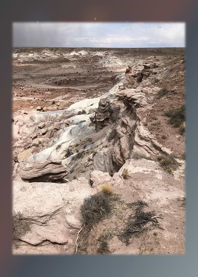 Petrified Forest 10