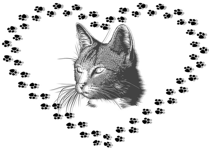 CAT AND PET LOVERS
