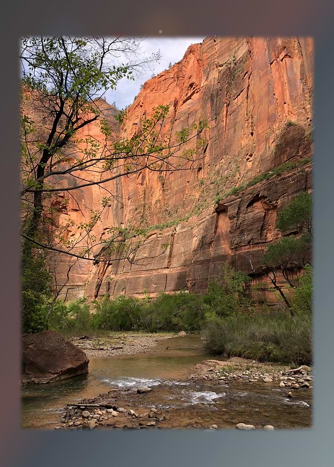 Zion 5