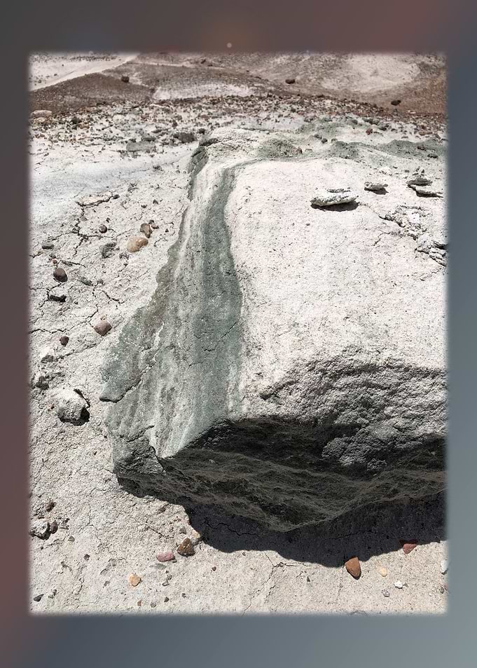 Petrified Forest 24