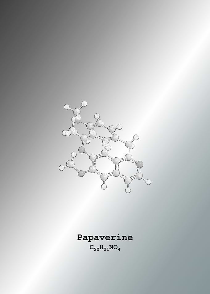 Papaverine