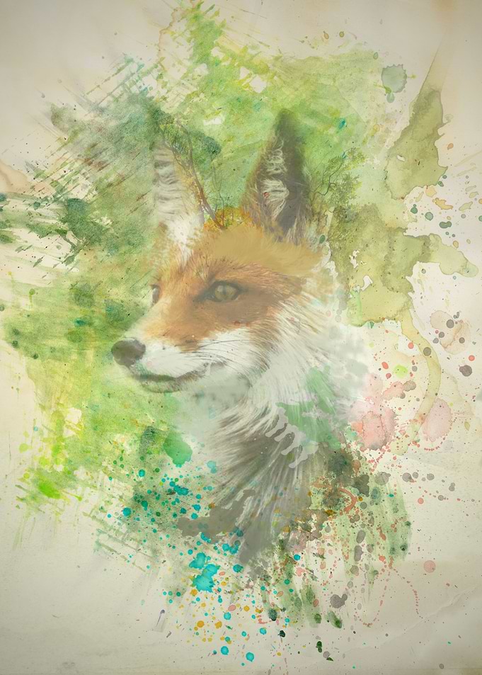 Fox