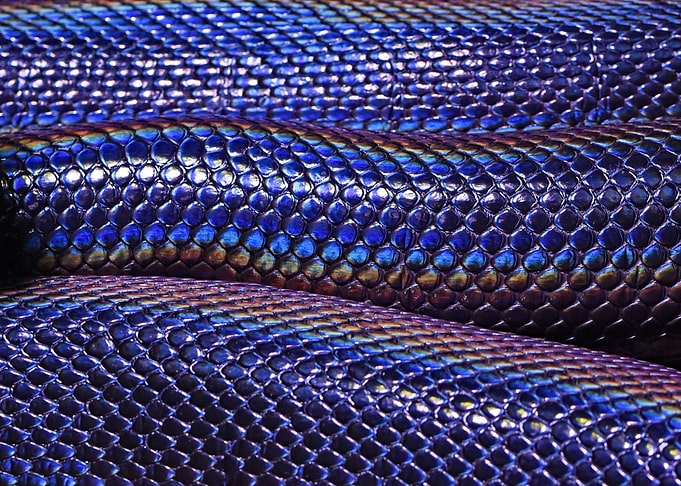 Serpent Skin
