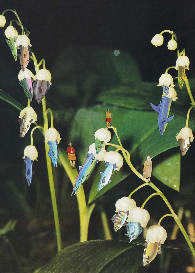 Fishflower [collage]