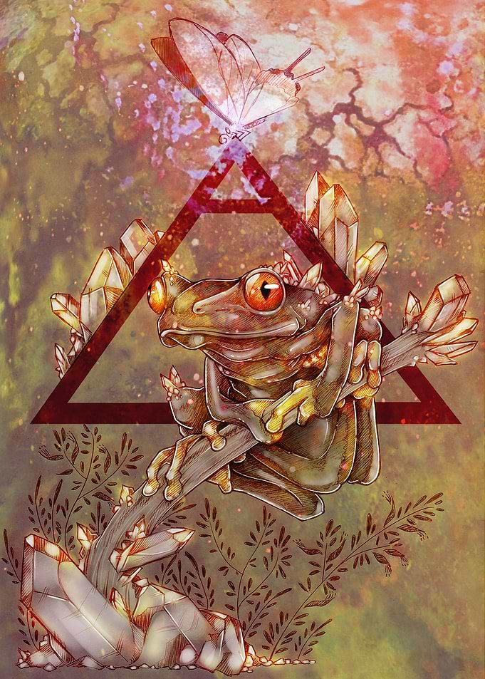 Frog Explore