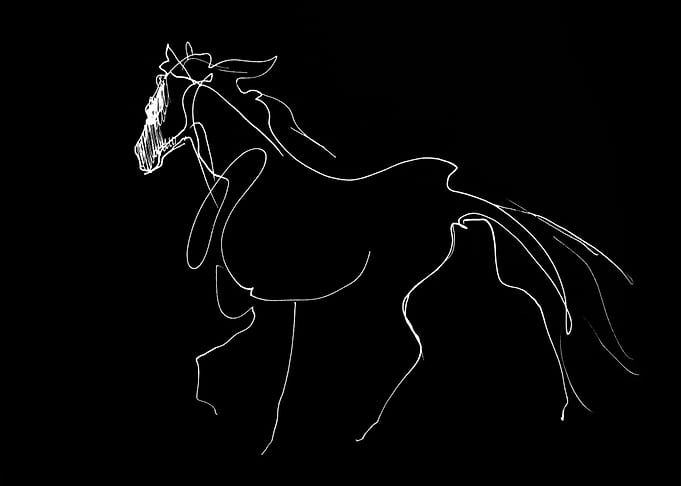 Graceful Horse
