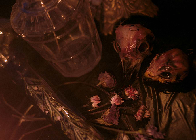 vanitas still life