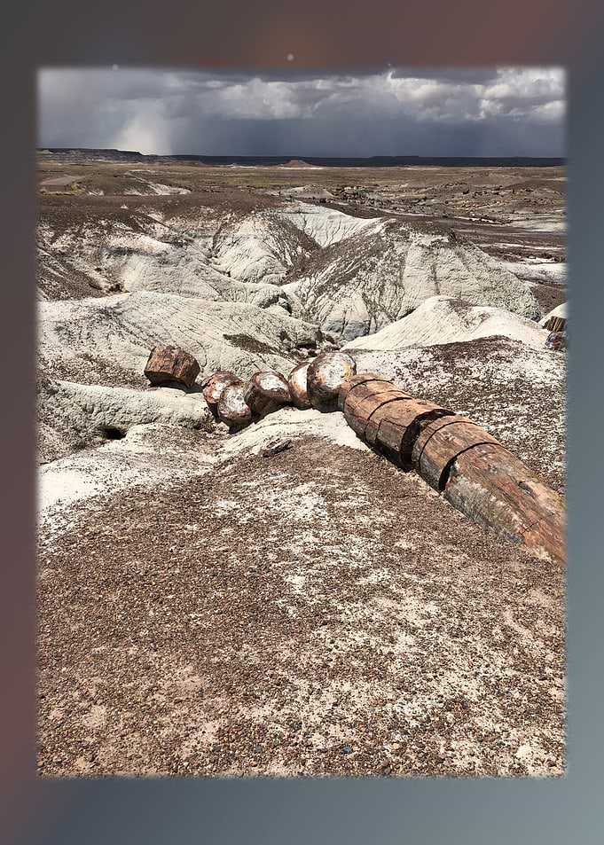 Petrified Forest 32