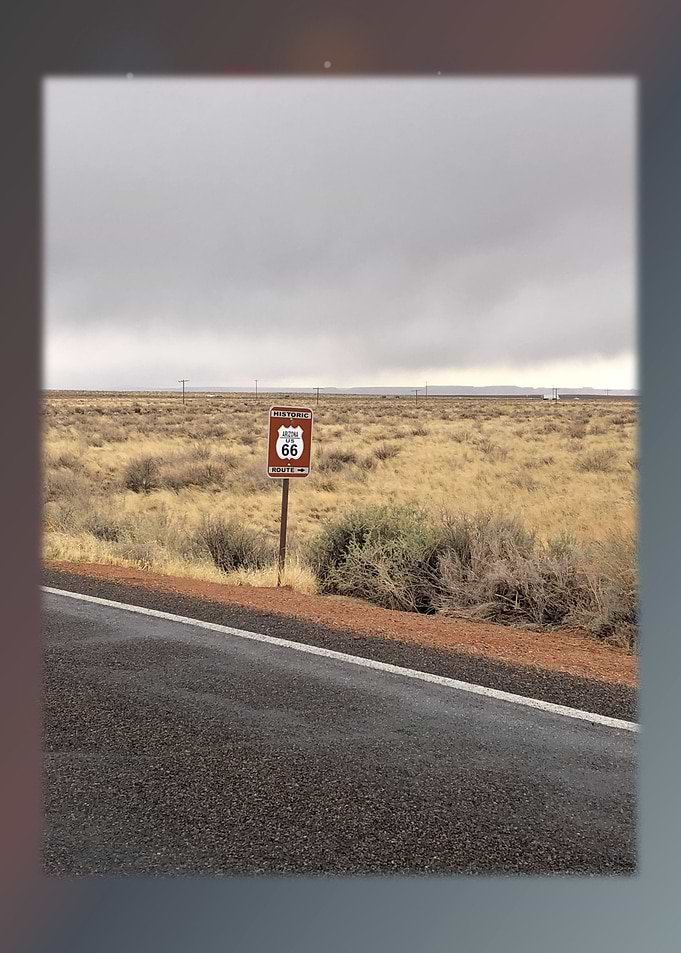 Petrified Forest 1