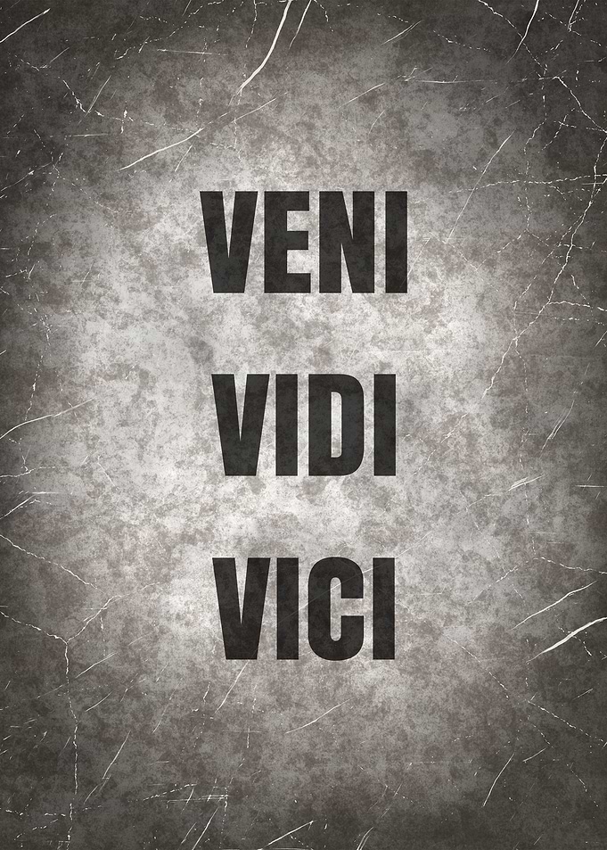 Veni Vidi Vici Quote