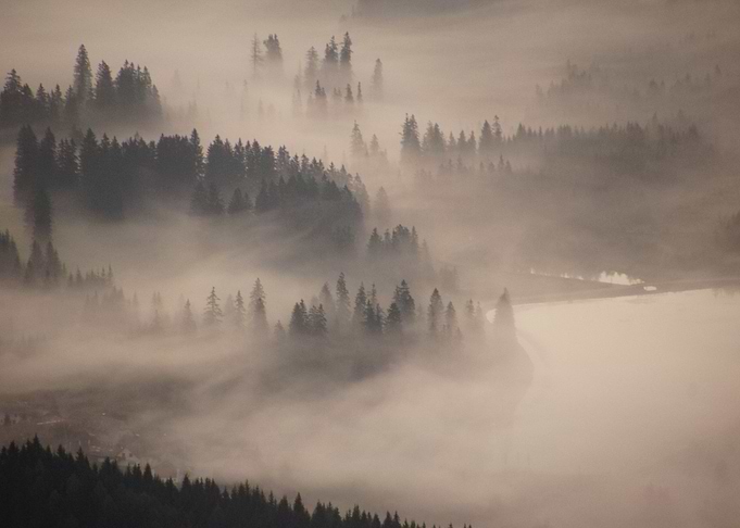 FRIO ENTRE LA NIEBLA