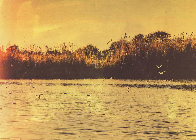 Landscape II