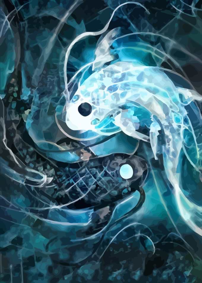Ying yang Fish