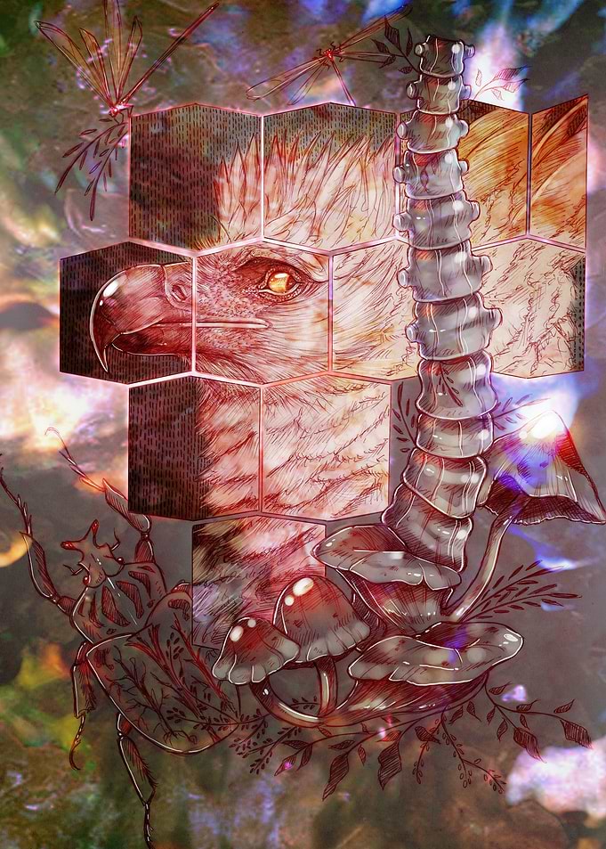 Harpy Egale