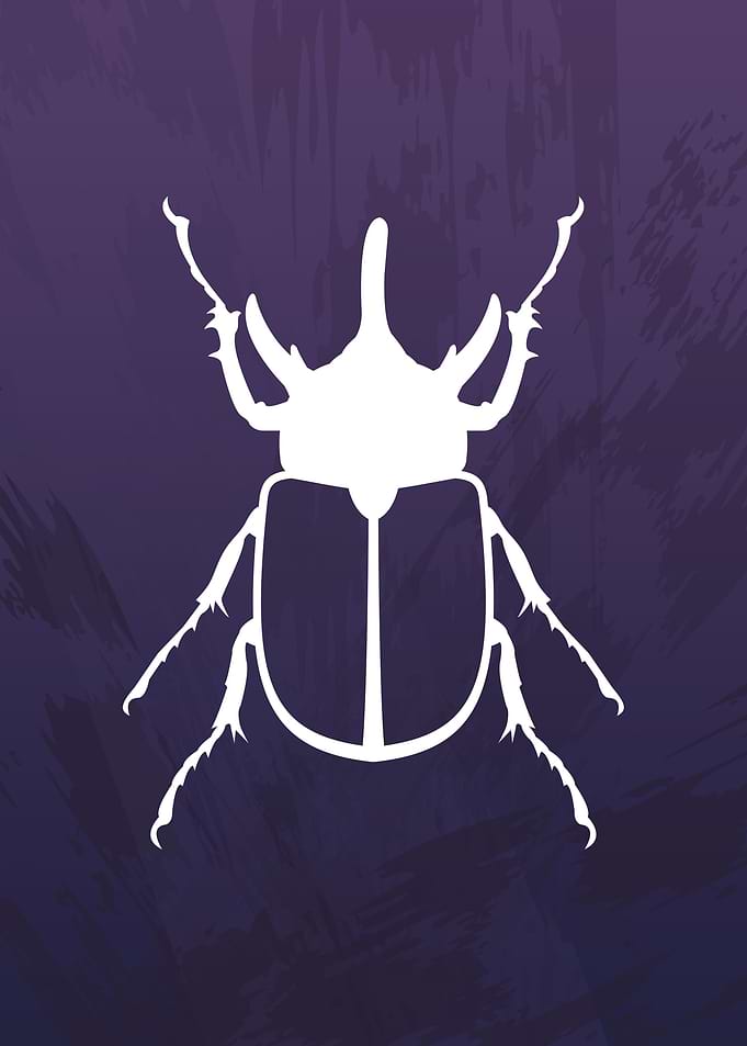 Rhino Beetle
