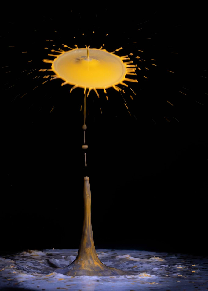 Abstract Flower 5