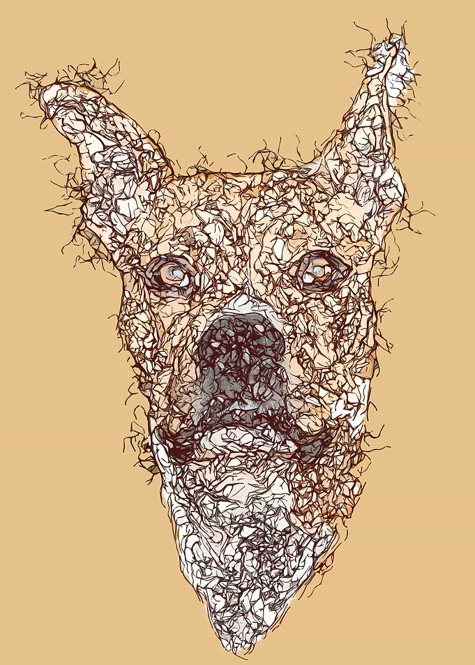 Abstract Dog
