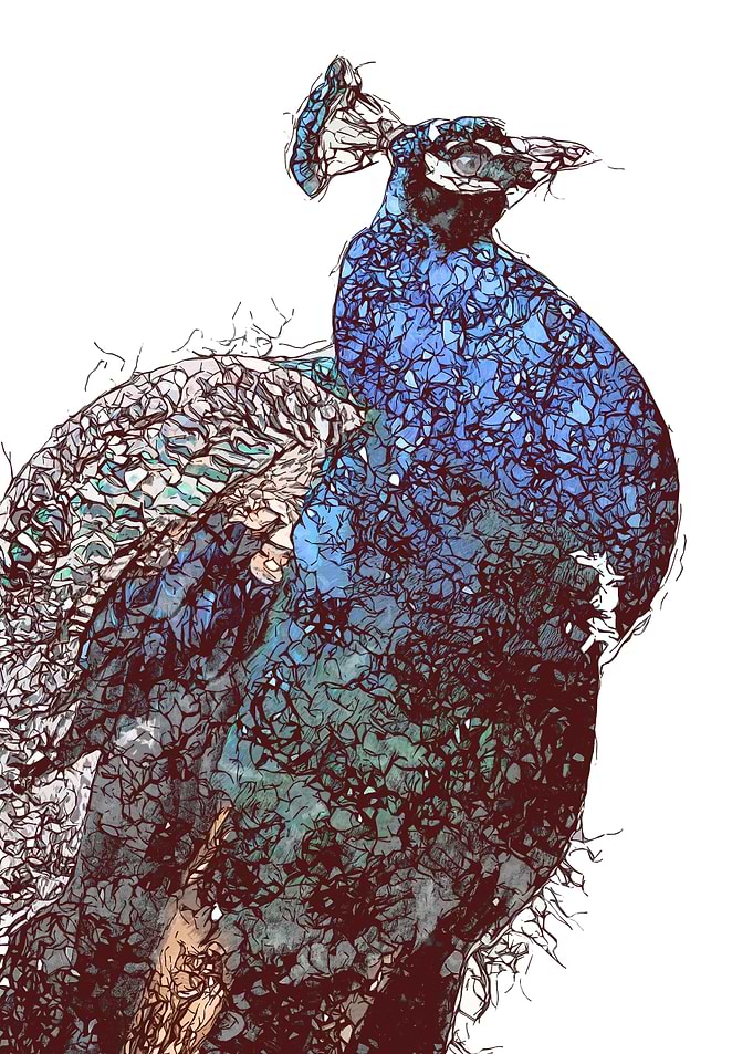 Abstract Bird