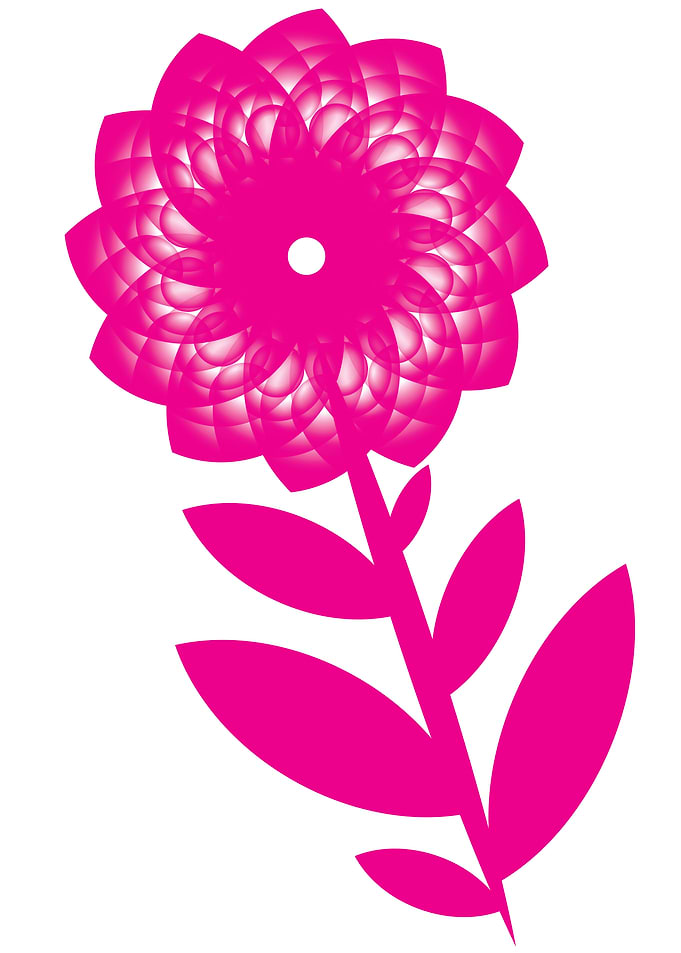 Amazing Flower