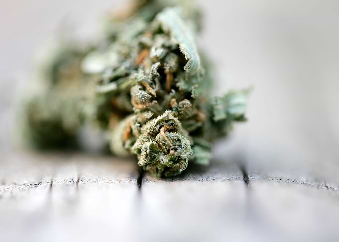Ganja super lemon haze