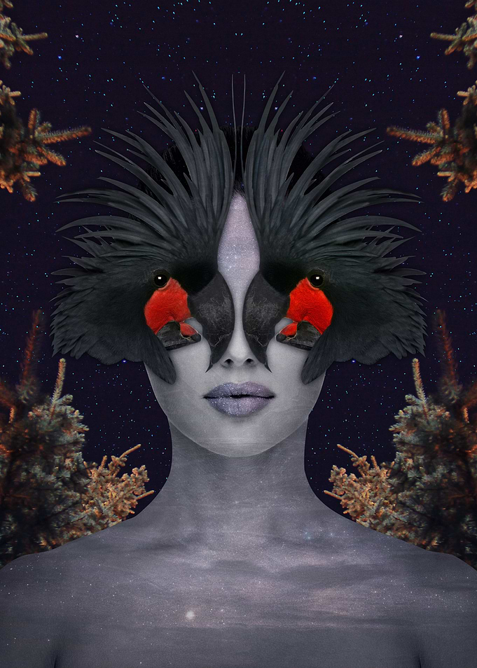 Parrot Fairy