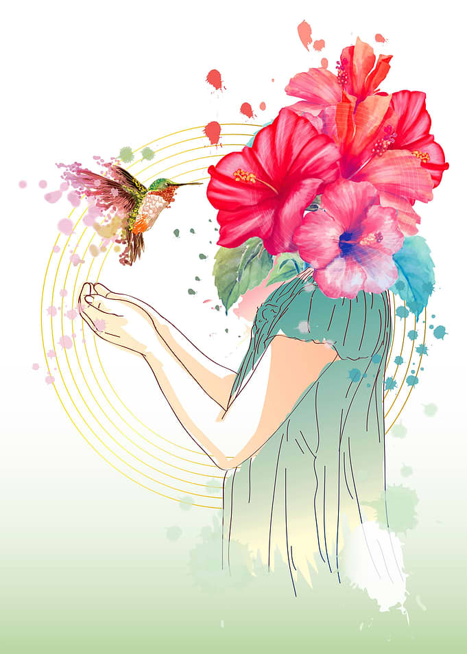 Humming Hibiscus