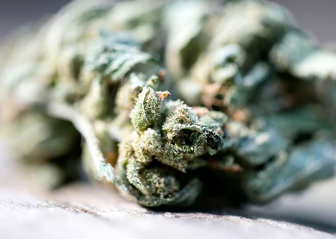 Ganja super lemon haze