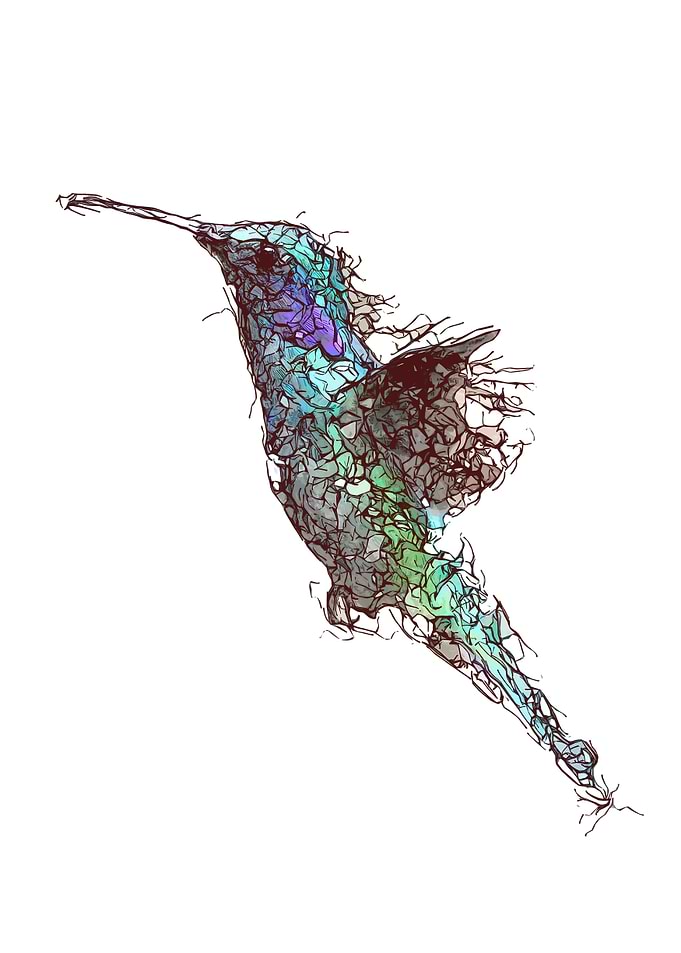 Abstract Bird