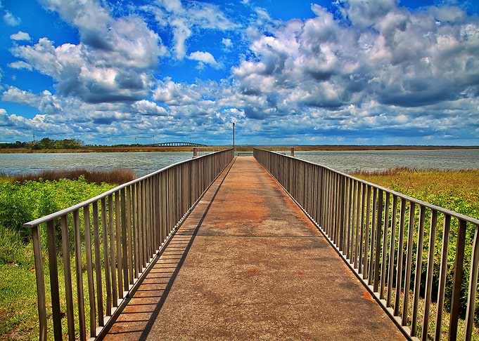 Fishing Pier in Marsh