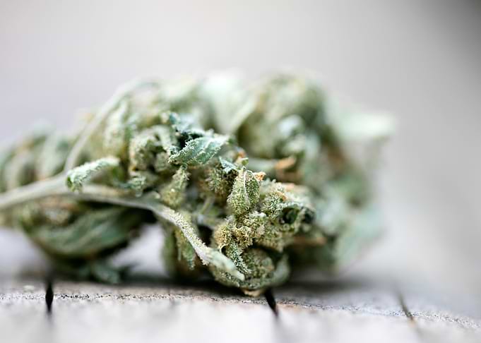 Ganja super lemon haze
