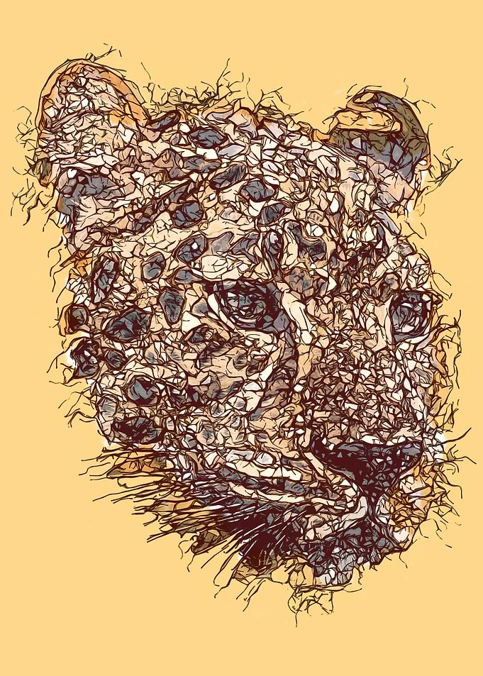 Abstract Leopard