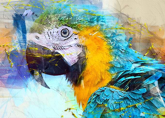 A Parrot