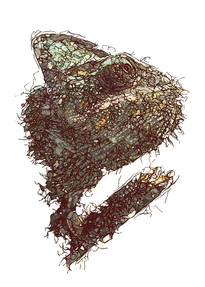Abstract camelion