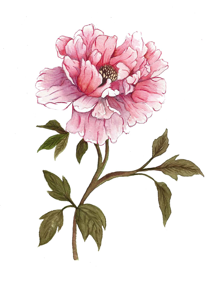 Watercolor Flower