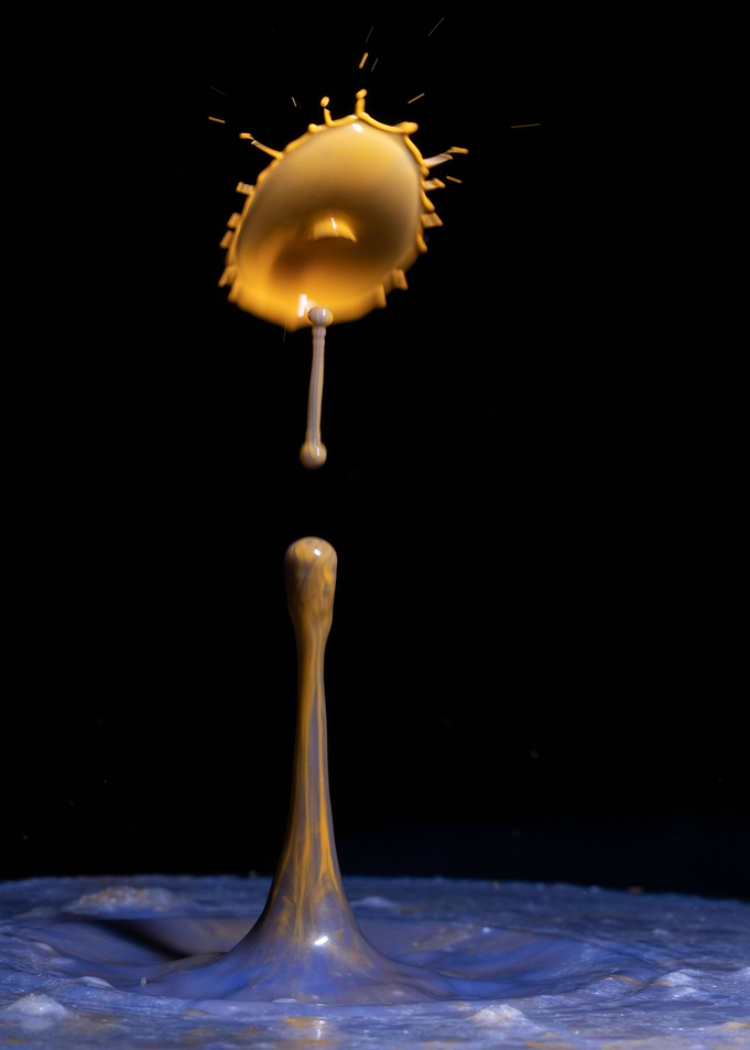 Abstract Flower 12