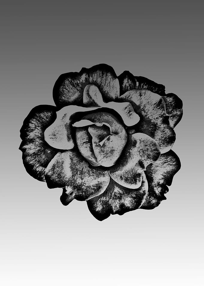 Vintage plant