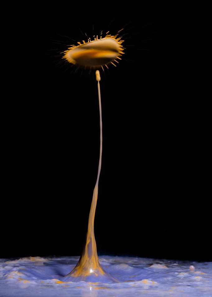 Abstract Flower 8