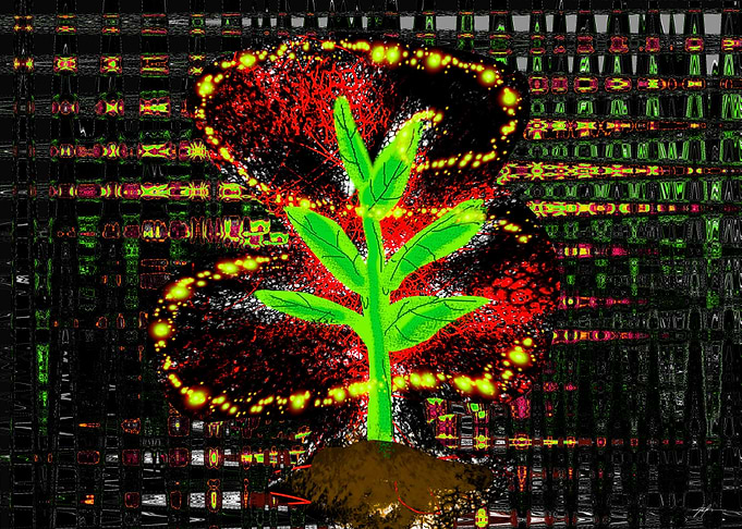 Pixie Weed