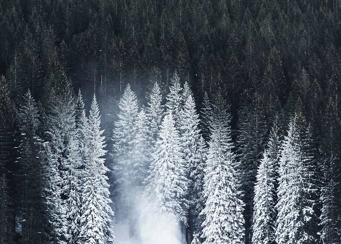 Snowing forests at night
