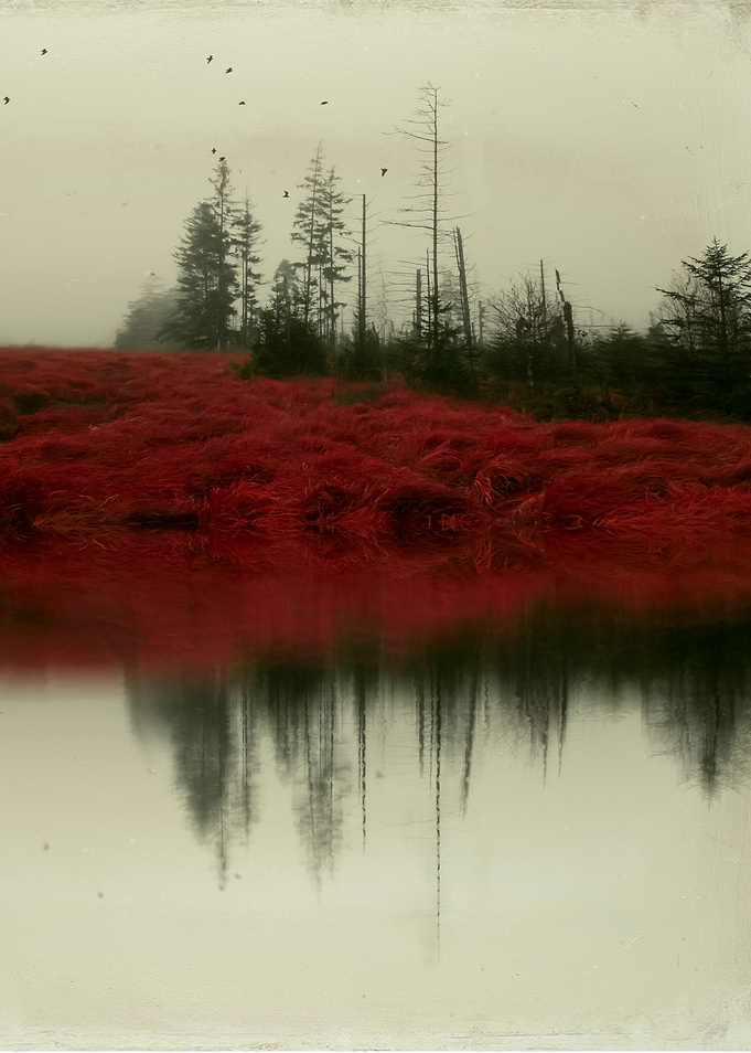 November Moor